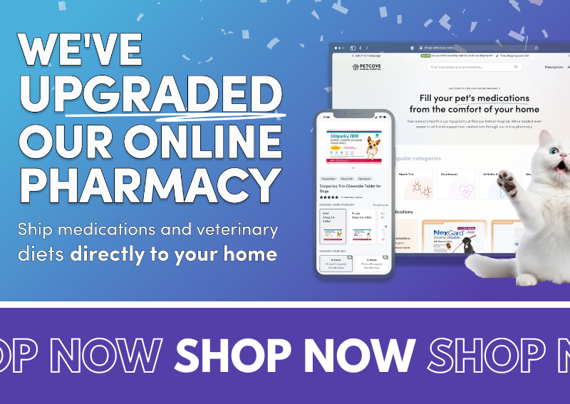 Carousel Slide 2: Online Pharmacy >